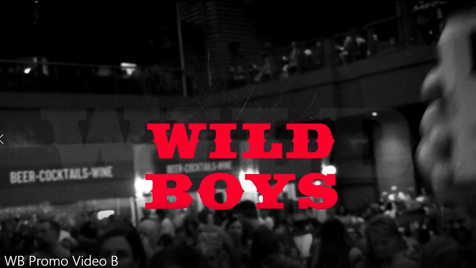 Wild Boys - The Duran Duran Tribute Promo